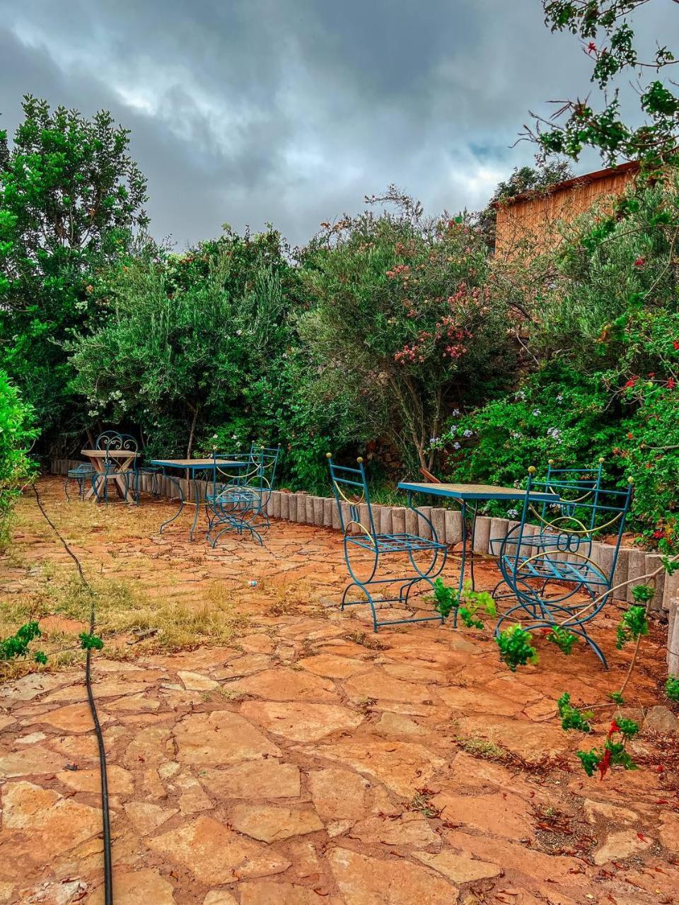 Gite Rurale Sousse Paradis Vallee Tagherat Anekrim Oda fotoğraf
