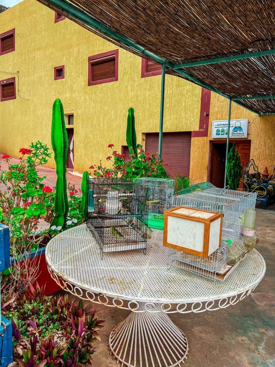 Gite Rurale Sousse Paradis Vallee Tagherat Anekrim Dış mekan fotoğraf